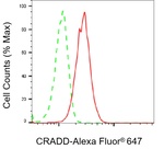 RAIDD Antibody in Flow Cytometry (Flow)