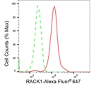 RACK1 Antibody in Flow Cytometry (Flow)