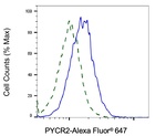 PYCR2 Antibody in Flow Cytometry (Flow)