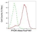 PYCR1 Antibody in Flow Cytometry (Flow)