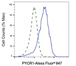 PYCR1 Antibody in Flow Cytometry (Flow)