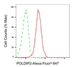 POLDIP2 Antibody in Flow Cytometry (Flow)