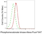PMVK Antibody in Flow Cytometry (Flow)