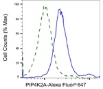 PIP4K2A Antibody in Flow Cytometry (Flow)