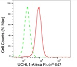 PGP9.5 Antibody in Flow Cytometry (Flow)