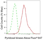 PDXK Antibody in Flow Cytometry (Flow)