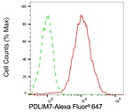 PDLIM7 Antibody in Flow Cytometry (Flow)