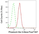 PDCL3 Antibody in Flow Cytometry (Flow)