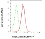 PASK Antibody in Flow Cytometry (Flow)