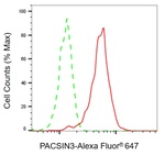 PACSIN3 Antibody in Flow Cytometry (Flow)
