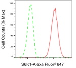 p70 S6 Kinase Antibody in Flow Cytometry (Flow)