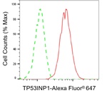 p53DINP1 Antibody in Flow Cytometry (Flow)