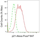 p21 Antibody in Flow Cytometry (Flow)