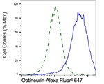 Optineurin Antibody in Flow Cytometry (Flow)