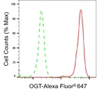 OGT Antibody in Flow Cytometry (Flow)
