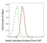 NUDT9 Antibody in Flow Cytometry (Flow)