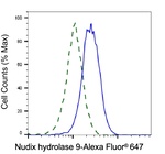 NUDT9 Antibody in Flow Cytometry (Flow)