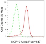 NOLA3 Antibody in Flow Cytometry (Flow)