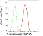 NLN Antibody in Flow Cytometry (Flow)