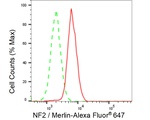 NF2 Antibody in Flow Cytometry (Flow)