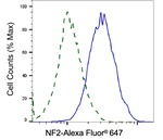 NF2 Antibody in Flow Cytometry (Flow)