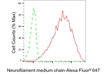 NF-M Antibody in Flow Cytometry (Flow)