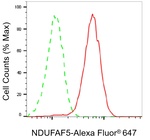 NDUFAF5 Antibody in Flow Cytometry (Flow)