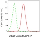 NCE2 Antibody in Flow Cytometry (Flow)