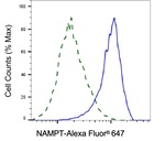NAMPT Antibody in Flow Cytometry (Flow)