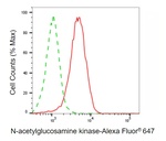 NAGK Antibody in Flow Cytometry (Flow)
