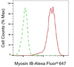 MYO1B Antibody in Flow Cytometry (Flow)