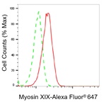 MYO19 Antibody in Flow Cytometry (Flow)