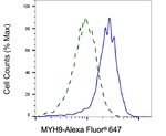 MYH9 Antibody in Flow Cytometry (Flow)