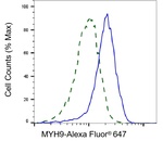 MYH9 Antibody in Flow Cytometry (Flow)
