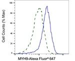 MYH9 Antibody in Flow Cytometry (Flow)