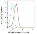 MTHFR Antibody in Flow Cytometry (Flow)