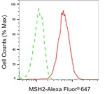 MSH2 Antibody in Flow Cytometry (Flow)