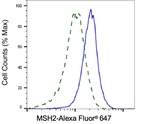 MSH2 Antibody in Flow Cytometry (Flow)