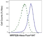 MRPS26 Antibody in Flow Cytometry (Flow)