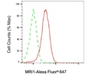 MRI1 Antibody in Flow Cytometry (Flow)