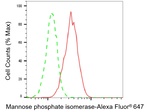 MPI Antibody in Flow Cytometry (Flow)