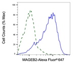 MAGEB2 Antibody in Flow Cytometry (Flow)