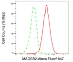 MAGEB2 Antibody in Flow Cytometry (Flow)