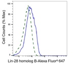 LIN28B Antibody in Flow Cytometry (Flow)