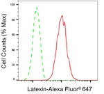Latexin Antibody in Flow Cytometry (Flow)