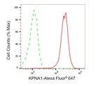 KPNA1 Antibody in Flow Cytometry (Flow)