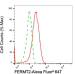 Kindlin 2 Antibody in Flow Cytometry (Flow)