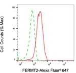 Kindlin 2 Antibody in Flow Cytometry (Flow)