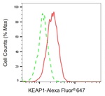 KEAP1 Antibody in Flow Cytometry (Flow)