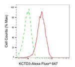 KCTD3 Antibody in Flow Cytometry (Flow)